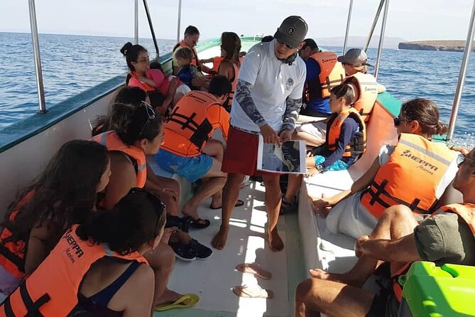 Holy Spirit Island Tour - Tour Guide Expertise and Service
