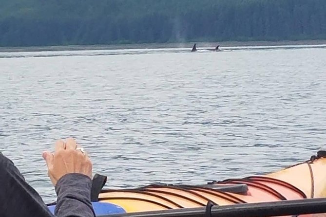 Hoonah Small-Group Kayak Tour - Tour Overview