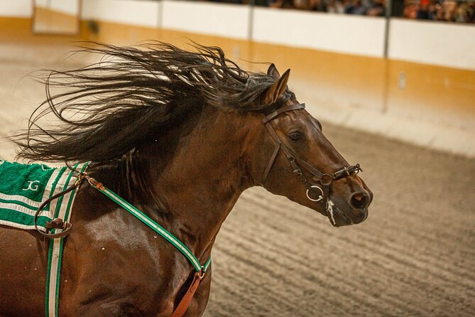 Horse and Flamenco Show in Malaga With Dinner - The Majestic Horses