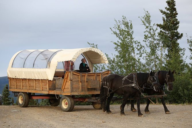Horse-Drawn Covered Wagon Ride With Backcountry Dining - Backcountry Dining Experience