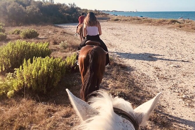 Horse Ride in a Salento Nature Reserve With Transfer From Lecce - Directions