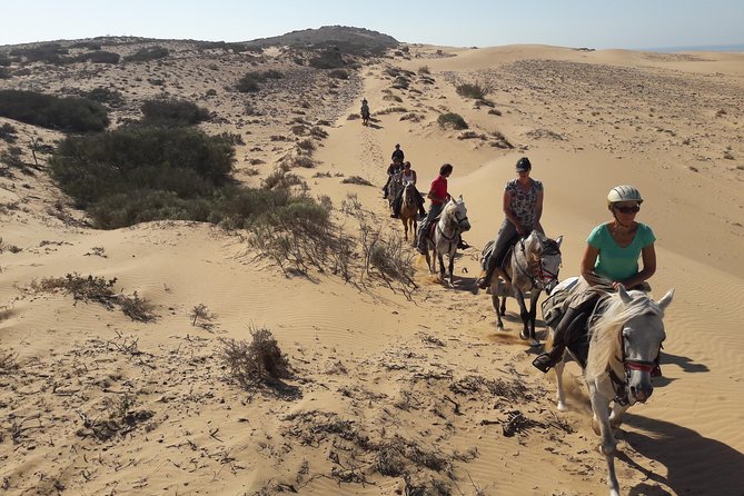 Horse Ride on the Beach in Essaouira - What to Expect