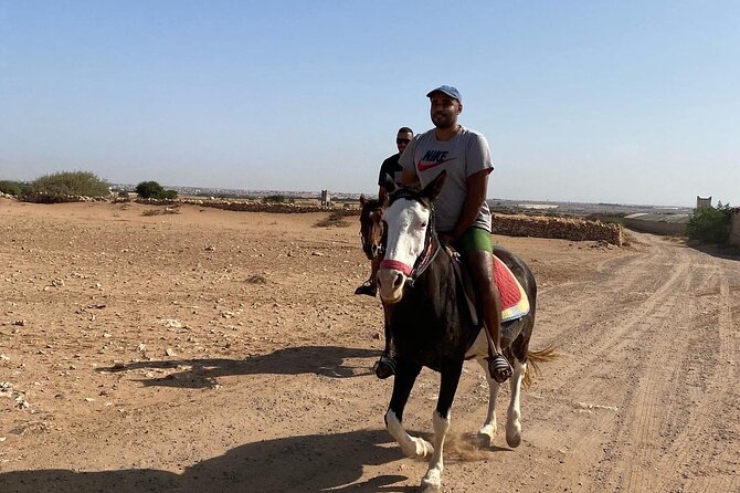 Horse Riding Agadir - Additional Reviews