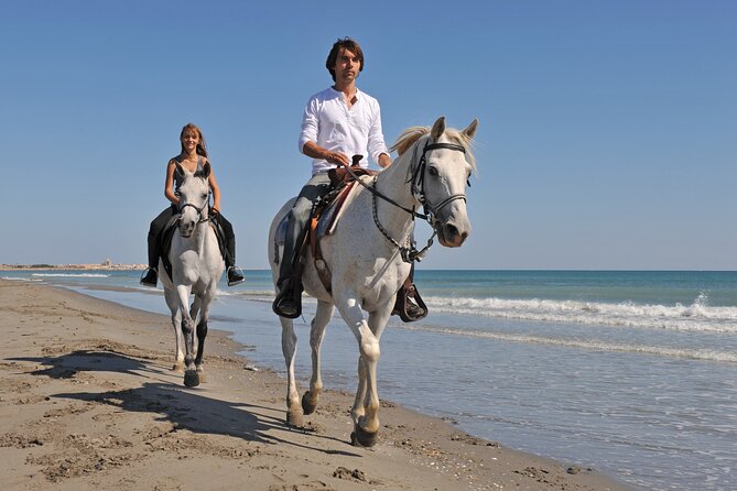 Horse Riding on the Beach in Side - Suitability for All Levels of Riders