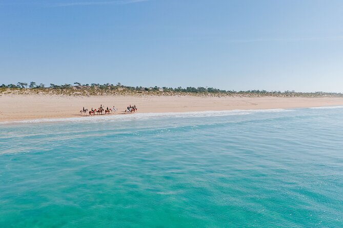Horse Riding on the Beach With Private Transfer From Lisbon - Common Questions