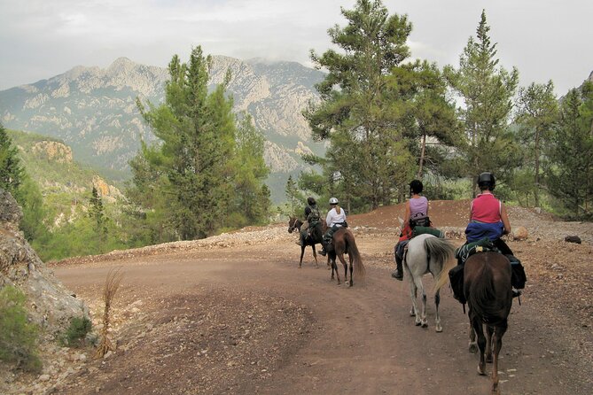 Horse Riding Tour in Bodrum With Hotel Pick up - Common Questions