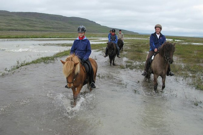 Horse Riding Tour to the Glacier River Delta With Waterfall - Sweeping Landscape Views