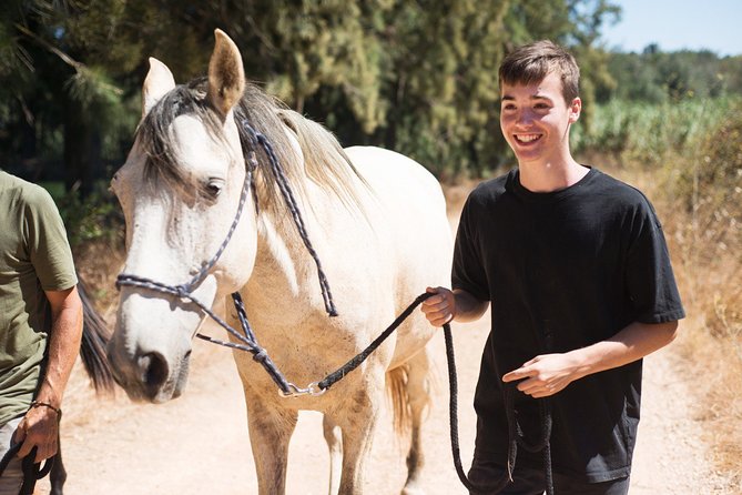Horse Sanctuary: a Nature Walk With Rescued Horses by Your Side - Common Questions