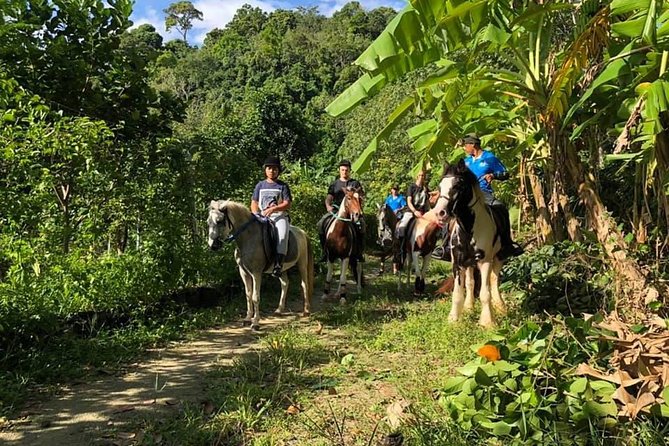 Horseback Riding 1 Hour Trail - Duration and Itinerary