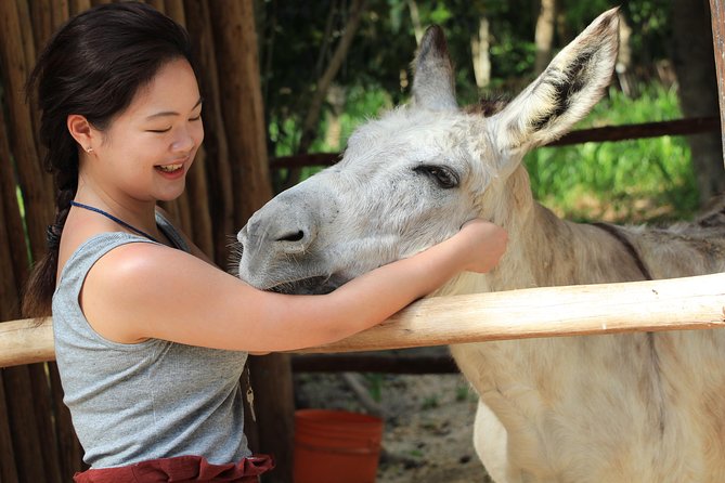 Horseback Riding and Cenote Swim From Cancun or Playa Del Carmen - Safety and Preparation