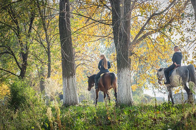 Horseback Riding and Wine Tasting in Tuscany - Directions