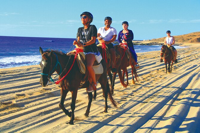 Horseback Riding Beach and Desert Adventure - Assistance and Help Center