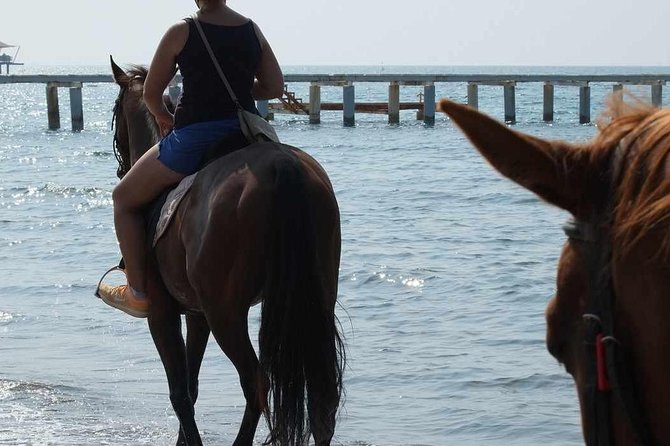 Horseback Riding in Bodrum - The Sum Up