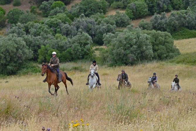Horseback Riding In Lisbon - Arrábida - Louro Trail Mountain 5 - 6 Hours - Cancellation Policy