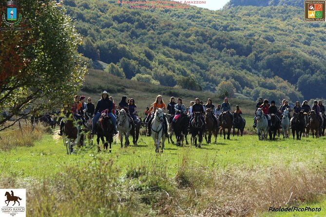 Horseback Riding in Nature - Cancellation Policy