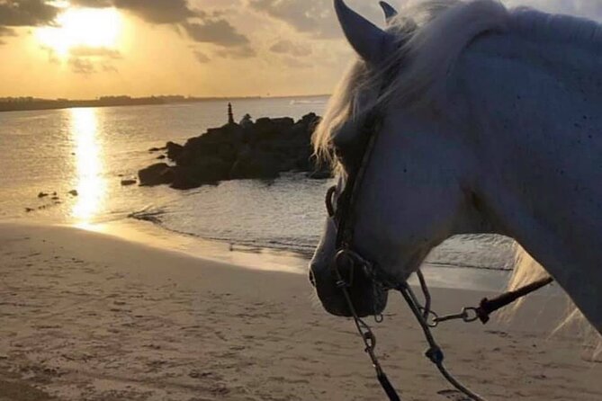 Horseback Riding in Sayulita Through Jungle Trails to the Beach - Cancellation Policy