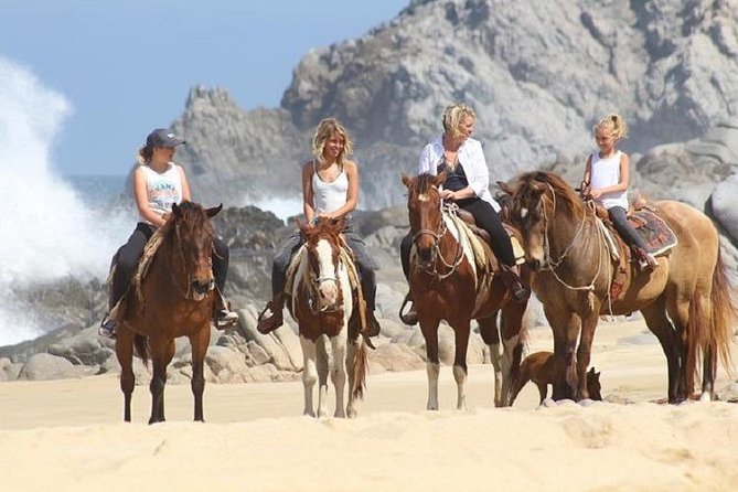 Horseback Riding on The Beach and Through The Desert! - Tour Highlights