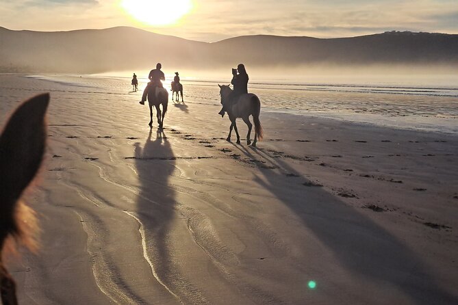 Horseback Riding on the Beach From Ensenada - Cancellation Policy