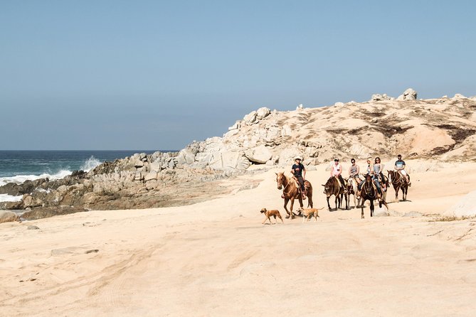 Horseback Riding Tour in Cabo San Lucas - Customer Reviews and Feedback