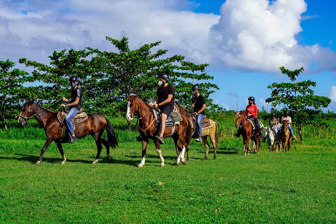 Horseback Riding Tour in Carolina - Directions