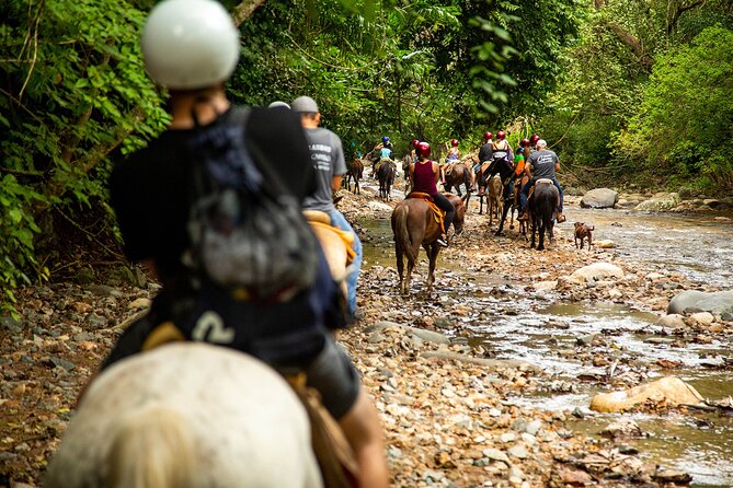 Horseback Riding Tour in Sierra Madre From Puerto Vallarta - Fun and Beginner-Friendly