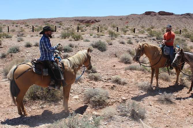 Horseback Riding Tour - Additional Information and Requirements
