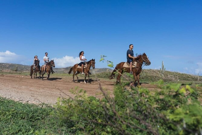 Horseback Riding Wariruri Beach Tour in Aruba - Tour Highlights