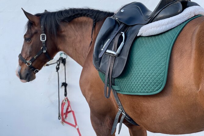Horseback Riding With Certified Guide - What to Expect