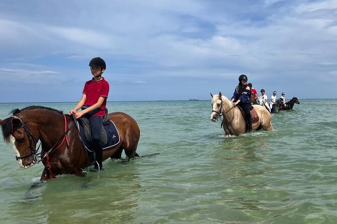 Horseback Riding With Private Transfer - Reviews