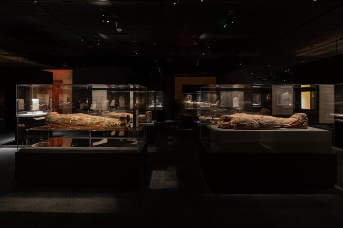 Houston Museum of Natural Science General Admission - Additional Expenses for Special Exhibits