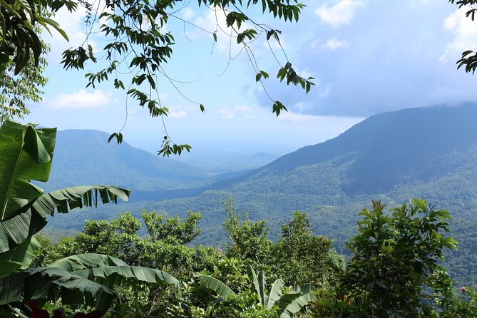 Huatulco: Coffee Plantation Guided Tour - Cancellation Policy