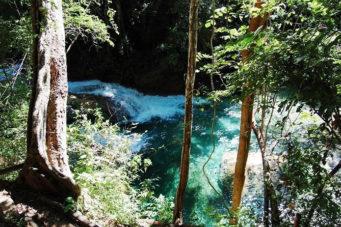 Huatulco Full-Day Coffee and Waterfalls Tour - Tastings and Lunch