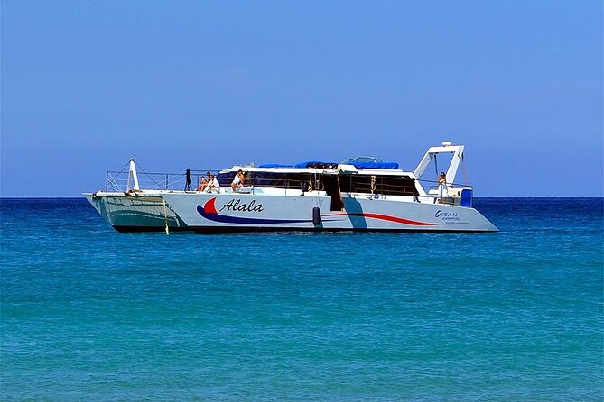 Humpback Whale Sanctuary Guided Boat Tour From Kawaihae Harbor  - Big Island of Hawaii - Weather Conditions and Refunds