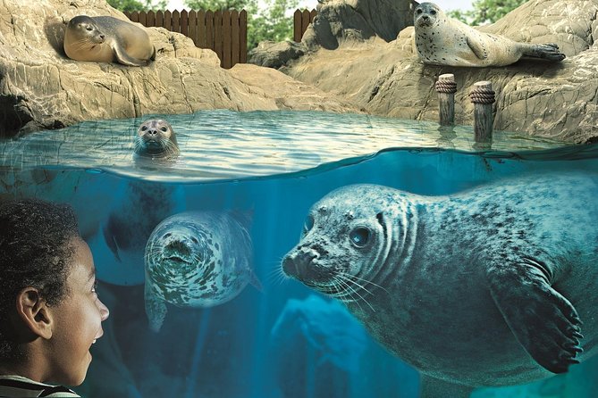 Hunstanton SEA LIFE Sanctuary General Admission Ticket - Overview