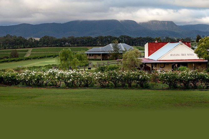 Hunter Valley Highlights Private Wine Tour From Sydney - Terms & Conditions
