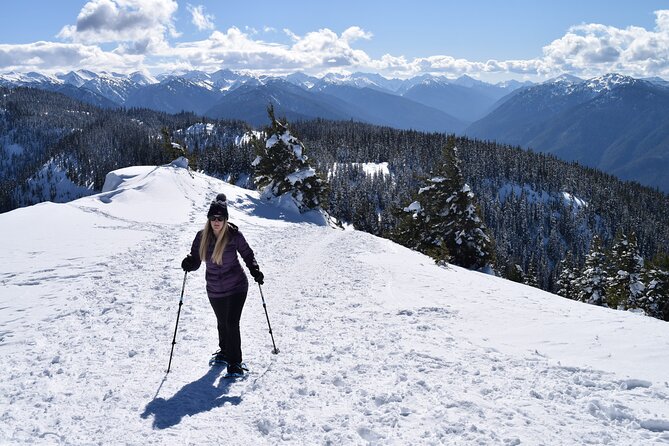 Hurricane Ridge Guided Snowshoe Tour in Olympic National Park - Traveler Photos and Reviews