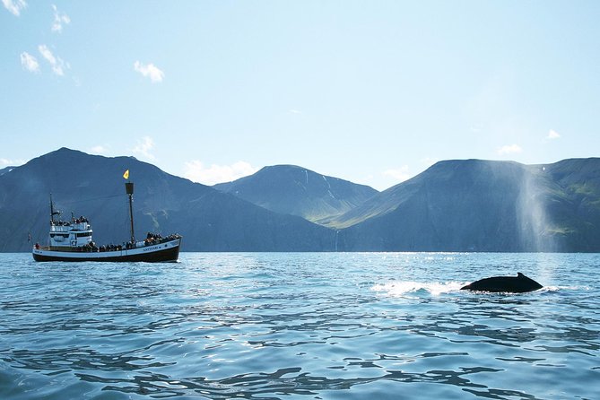 Husavik Traditional Oak Ship Whale- and Puffin-Watching Cruise  - Akureyri - Additional Information