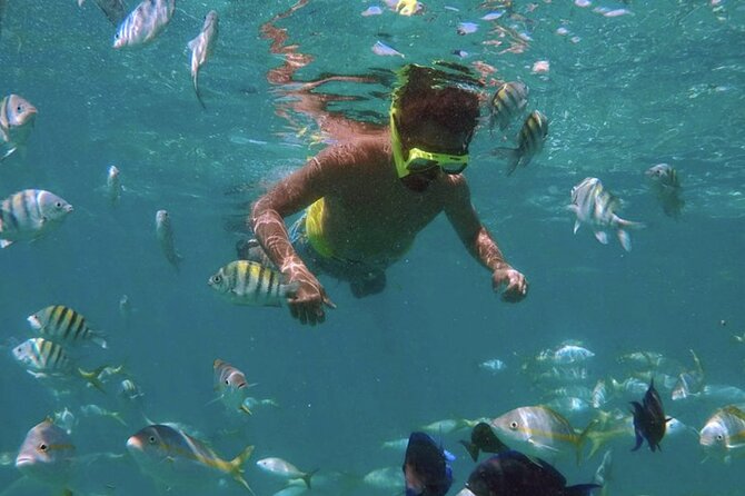Icacos Island (Cayo Icacos) Snorkeling With Lunch and Open Bar  - Fajardo - Common Questions