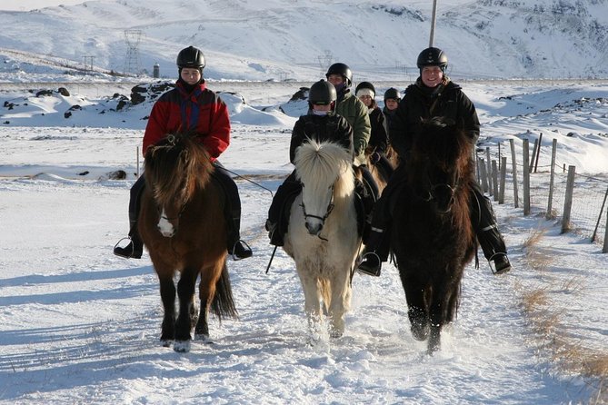 Iceland Tour With Horseback Riding - Directions to the Meeting Point and End Point