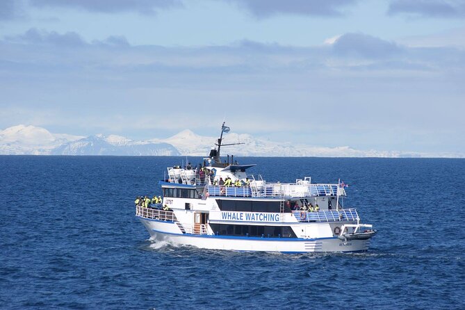 Icelandic Horse Riding and Whale Watching Tour From Reykjavik - Positive Reviews and Recommendations - Horse Riding Experience