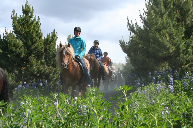 Icelandic Horseback Riding Tour From Reykjavik - Cancellation Policy and Traveler Reviews