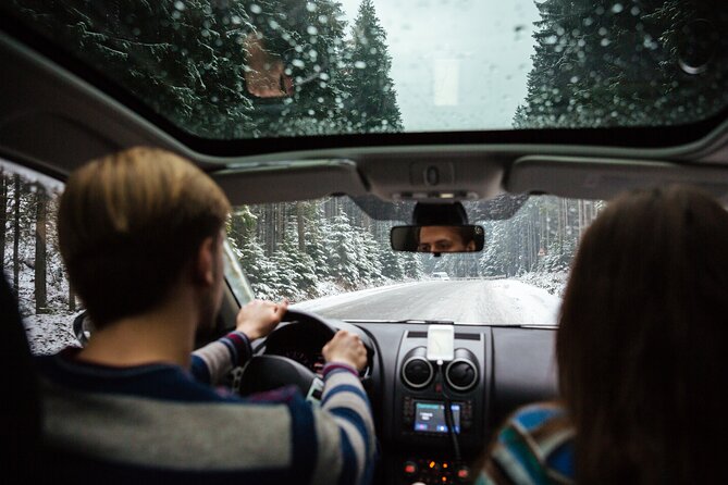 Icelands Golden Circle Self-Guided Audio Driving Tour - Positive Experiences With the Audio Tour
