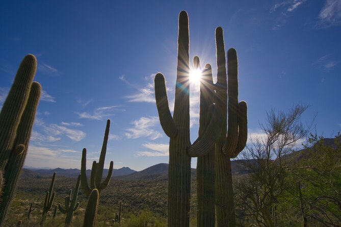 Iconic Toms Thumb Hiking Adventure in Scottsdale - Showcasing Traveler Photos of the Toms Thumb Hike