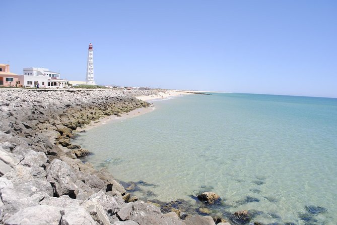 Ilha Deserta and Farol Island: a Small Group Boat Trip in Ria Formosa From Faro - Recommendation and Satisfaction of Previous Guests