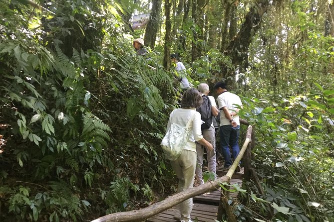 Inthanon Small-Group With Kew Mae Pan Trail From Chiang Mai Include Lunch - Reviews and Ratings