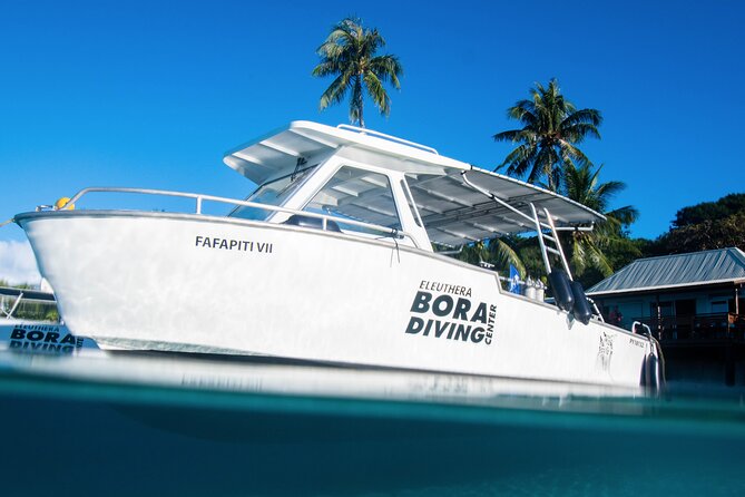 Introductory Dive in Bora Bora (afternoon) - Beautiful Underwater Environment and Recommendations