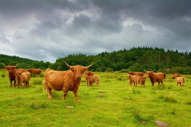 Inverness to Glasgow Luxury Car Transfer - Directions