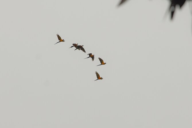 Iquitos Private 5-Day Wildlife Spotting Tour - Additional Information