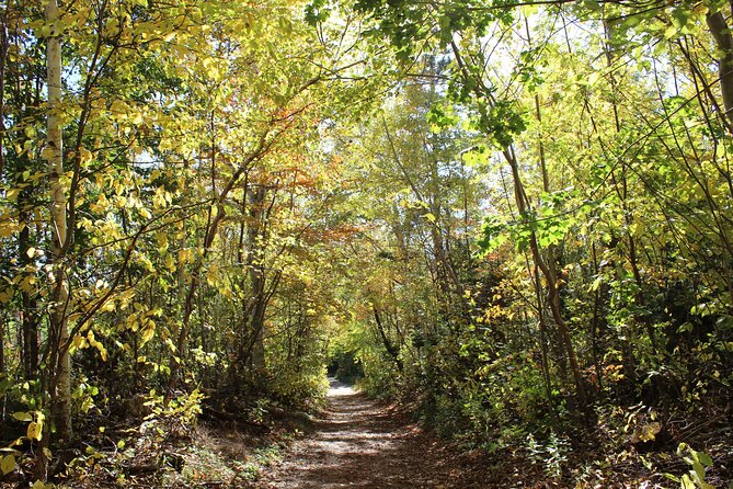 Island Drive & Anne of Green Gables Tour - Traveler Reviews