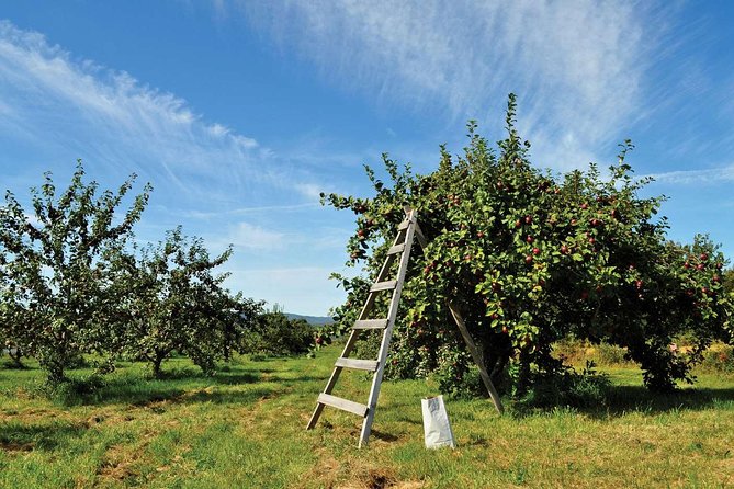 Island of Orleans Taste and Drink Tour - Historical Context and Regional Understanding